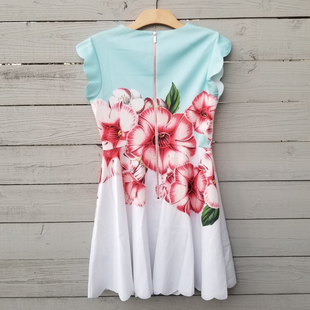 Ted Baker Blue and White Floral Dress - Picture 9 of 12